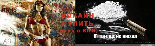 ПСИЛОЦИБИНОВЫЕ ГРИБЫ Армянск