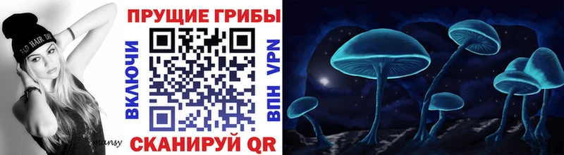 Псилоцибиновые грибы Magic Shrooms  что такое   Крым 